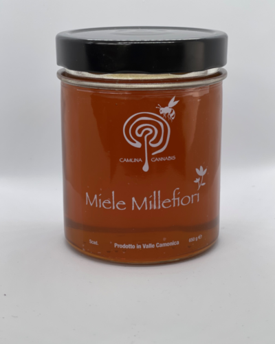 Miele MIllefiori 650 g