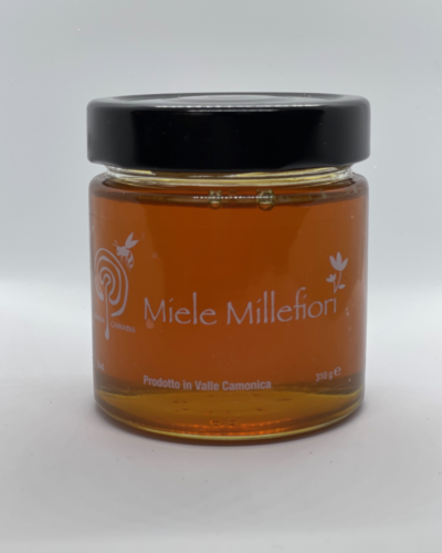 Miele MIllefiori 310 g